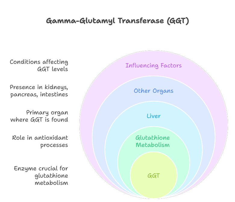 7 Powerful Diets to Lower GGT Levels