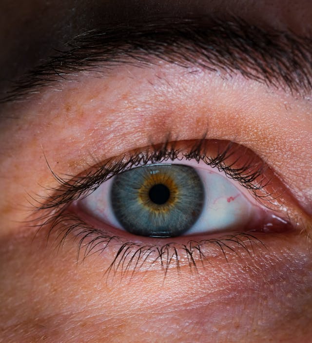 how to thicken thin eyebrows