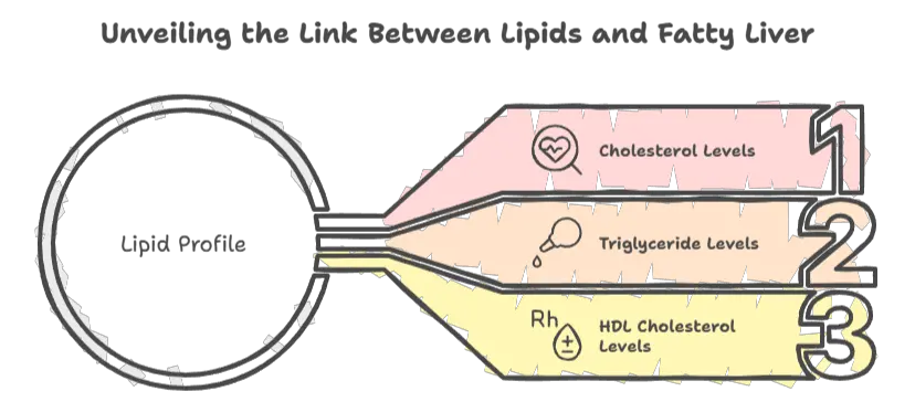 lipids and fatty liver