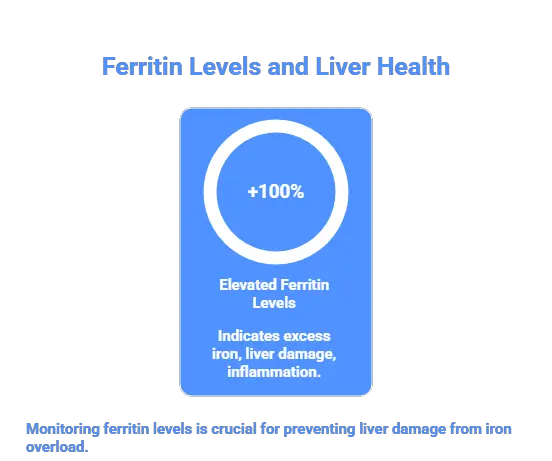 ferritin levels / healthline
