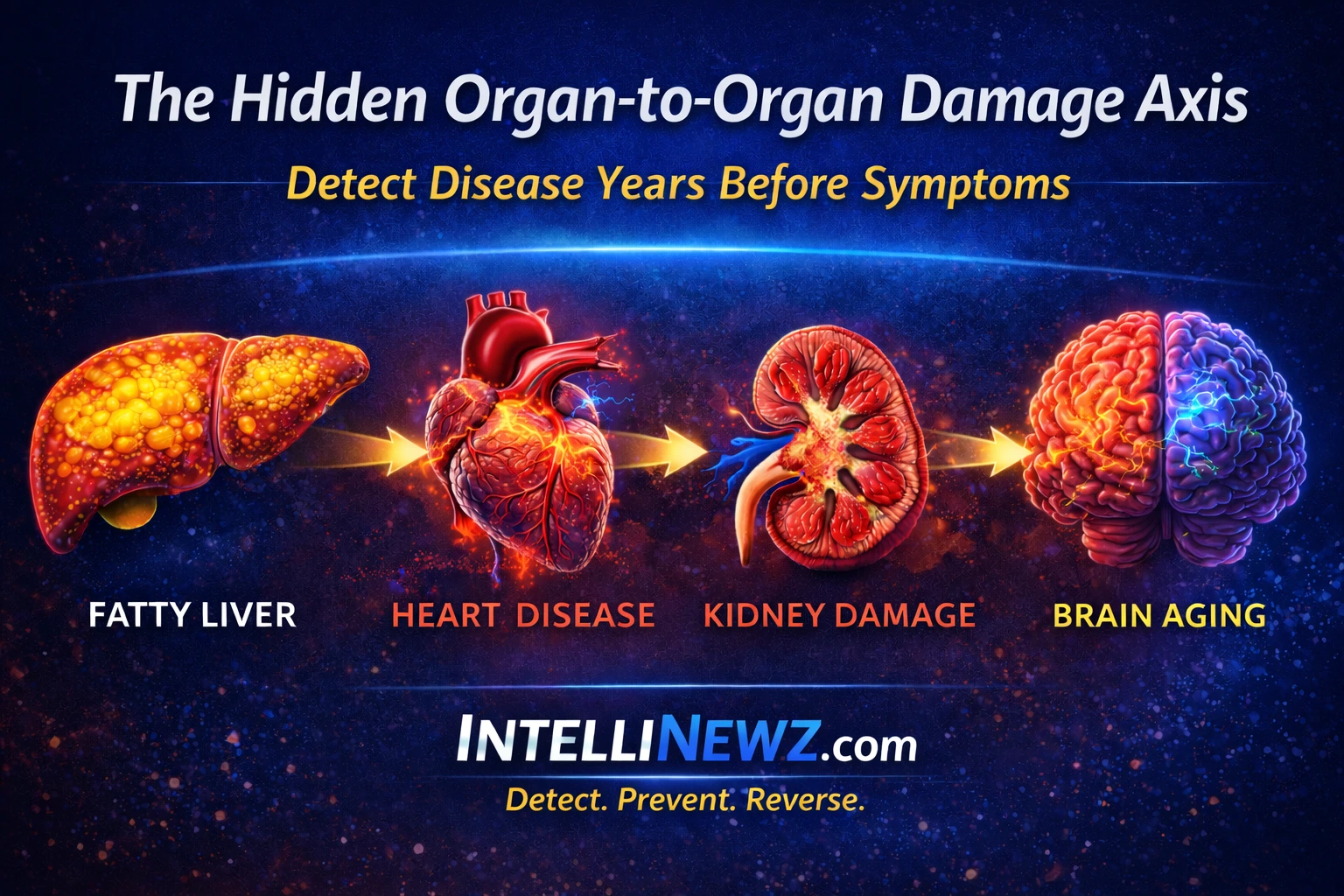 5 Hidden Organ-to-Organ Damage Signals That Destroy Your Body Years Before Symptoms