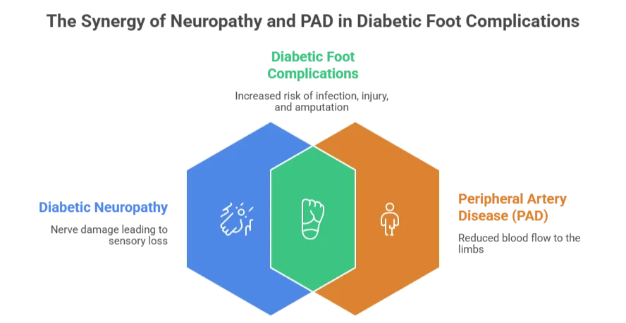 diabetic foot