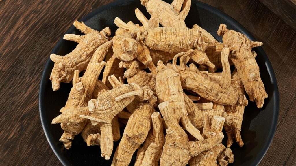 korean ginseng