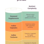 iodine for immunity and gut